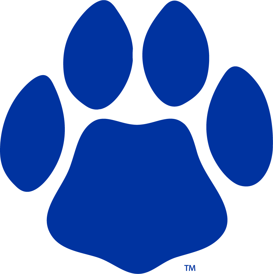 Georgia State Panthers 2009-2012 Secondary Logo iron on transfers for clothing